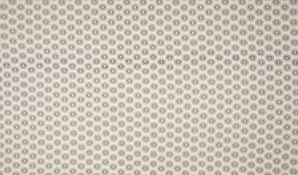 Baumwolle Poplin Umbrella ecru