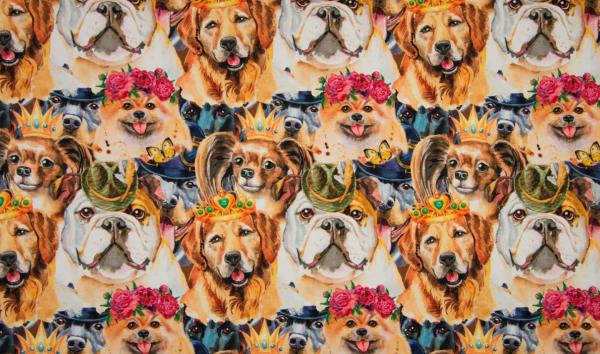 Jersey Royal Dog